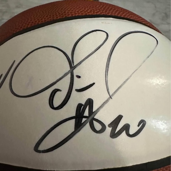 Dallas Mavericks 2008-2009 Team Signed Basketball - no COA- no trades,cash only* - Picture 10 of 10